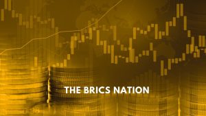 The brics nation